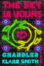 Cover art for The Sky Is Yours: A Novel