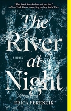 Cover art for The River at Night: A Novel