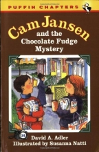 Cover art for Cam Jansen: The Chocolate Fudge Mystery #14