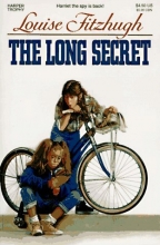 Cover art for The Long Secret
