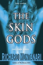 Cover art for The Skin Gods: A Novel of Suspense
