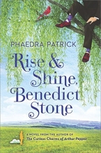 Cover art for Rise and Shine, Benedict Stone: A Novel
