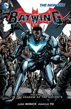 Cover art for Batwing Vol. 2: In the Shadow of the Ancients (The New 52)