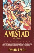 Cover art for Amistad - A Novel