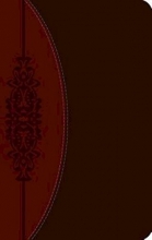 Cover art for CEB Wesley Study Bible, DecoTone