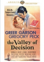 Cover art for The Valley of Decision