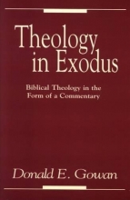 Cover art for Theology in Exodus: Biblical Theology in the Form of a Commentary