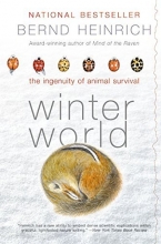 Cover art for Winter World