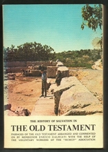 Cover art for History of Salvation in the Old Testament