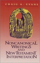 Cover art for Noncanonical Writings and New Testament Interpretation