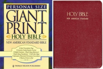 Cover art for Holy Bible: New American Standard (523BG)