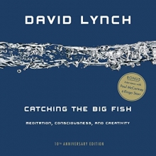 Cover art for Catching the Big Fish: Meditation, Consciousness, and Creativity: 10th Anniversary Edition