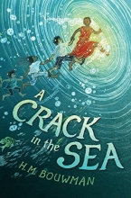 Cover art for A Crack in the Sea