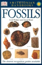 Cover art for Smithsonian Handbooks: Fossils