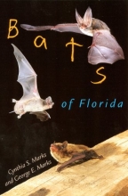 Cover art for Bats of Florida