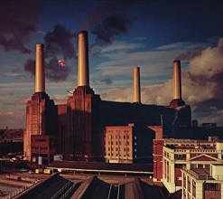 Cover art for Animals