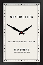 Cover art for Why Time Flies: A Mostly Scientific Investigation