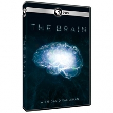 Cover art for Brain With David Eagleman