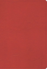 Cover art for ESV Student Study Bible (TruTone, Coral)