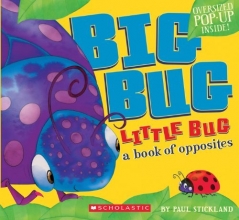 Cover art for Big Bug, Little Bug