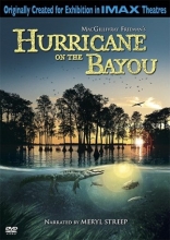 Cover art for Hurricane on the Bayou