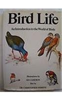 Cover art for Bird Life: An Introduction to the World of Birds