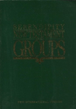 Cover art for Serendipity New Testament for Groups: New International Version (1990-12-03)
