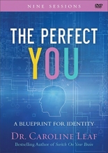 Cover art for The Perfect You: A Blueprint for Identity