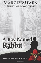 Cover art for A Boy Named Rabbit: Wake-Robin Ridge Book 2 (Volume 2)