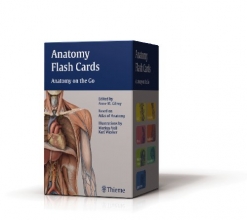 Cover art for Anatomy Flash Cards: Anatomy on the Go (Thieme Anatomy)