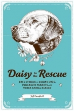 Cover art for Daisy to the Rescue: True Stories of Daring Dogs, Paramedic Parrots, and Other Animal Heroes