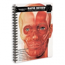 Cover art for Rapid Review: Anatomy Reference Guide