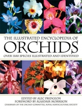 Cover art for The Illustrated Encyclopedia of Orchids