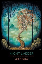 Cover art for Night Ladder