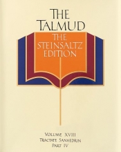 Cover art for The Talmud, The Steinsaltz Edition, Volume 18: Tractate Sanhedrin Part IV