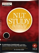Cover art for NLT Study Bible
