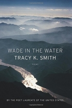 Cover art for Wade in the Water: Poems