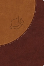 Cover art for NIV, New Spirit-Filled Life Bible, Leathersoft, Brown/Tan: Kingdom Equipping Through the Power of the Word (Signature)