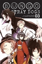 Cover art for Bungo Stray Dogs, Vol. 3