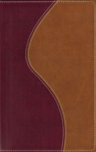 Cover art for Holy Bible-New International Version-Thinline-Burgundy and Tan Italian Duo-Tone Leather Cover