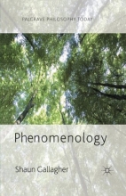 Cover art for Phenomenology (Palgrave Philosophy Today)