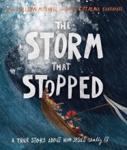 Cover art for The Storm That Stopped