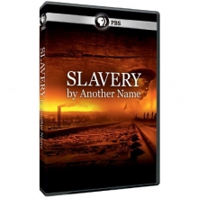 Cover art for Slavery By Another Name