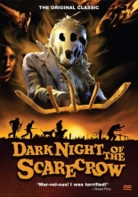 Cover art for Dark Night of the Scarecrow
