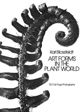 Cover art for Art Forms in the Plant World: 120 Full-Page Photographs (Dover Pictorial Archive)