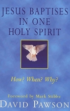 Cover art for Jesus Baptises in One Holy Spirit: Who? How? When? Why?