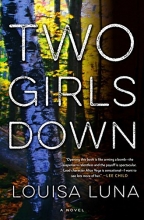 Cover art for Two Girls Down: A Novel