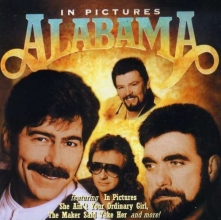 Cover art for In Pictures