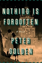 Cover art for Nothing Is Forgotten: A Novel