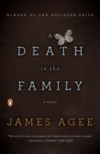 Cover art for A Death in the Family: A Novel